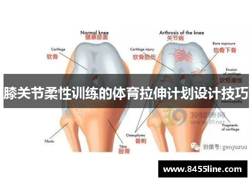 膝关节柔性训练的体育拉伸计划设计技巧